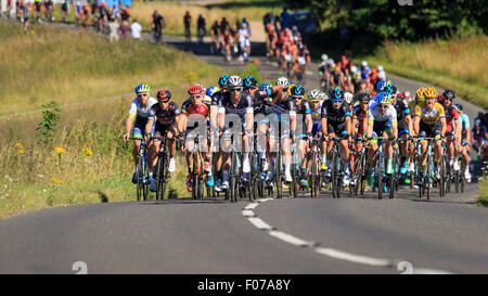 Das Hauptfeld durchläuft Ranmore Common während der aufsichtsrechtlichen RideLondon-Surrey Classic 2015 Stockfoto