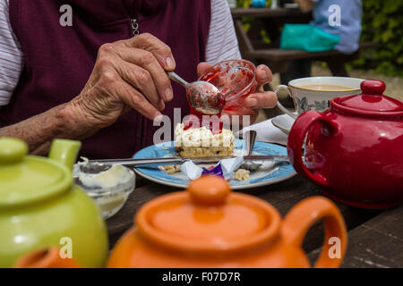 Frau Rentner Scone im Café mit Töpfen Tee Marmelade aufsetzen Stockfoto