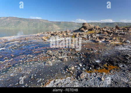 Hot Springs am Lake Bogoria in Kenia. Stockfoto