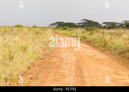 Feldweg im Nairobi-Nationalpark in Kenia Stockfoto