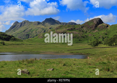 Blea Tarn und die Langdale Pikes Stockfoto