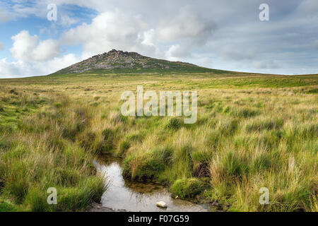 Grasbewachsenen Granit Moor am Fuße des Roughtor auf Bodmin Moor in Cornwall, auch genannt grobe Tor, es ist der zweite, höchste Berg Stockfoto
