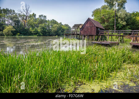 Wassermühle auf kleine Donau in der Nähe des Dorfes Tomasikovo, Slowakei, Europa Stockfoto