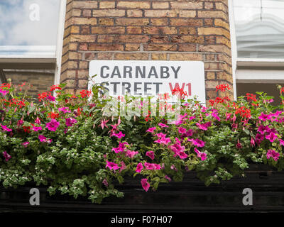 Zeichen der Carnaby Street in London mit einigen Tauben Stockfoto