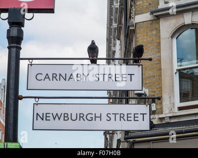 Zeichen der Carnaby Street in London mit einigen Tauben Stockfoto