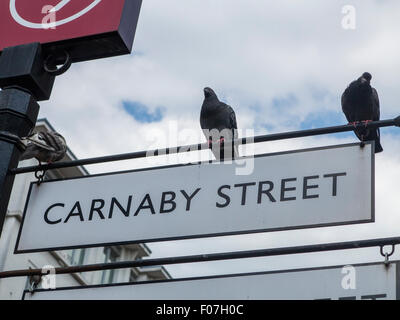 Zeichen der Carnaby Street in London mit einigen Tauben Stockfoto