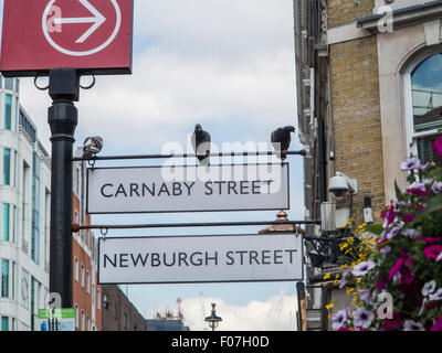 Zeichen der Carnaby Street in London mit einigen Tauben Stockfoto