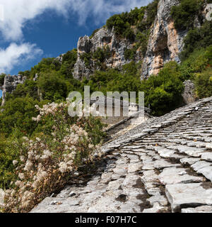 Stein-Dach des Kloster Agia Paraskevi in Monodendri, Griechenland. Monodendri gehört zu den Steindörfer Zagoria. Stockfoto