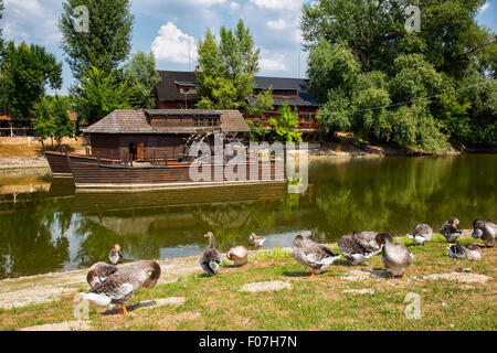 Wassermühle auf kleine Donau nahe dem Dorf Kolarovo, Deutschland, Europa Stockfoto