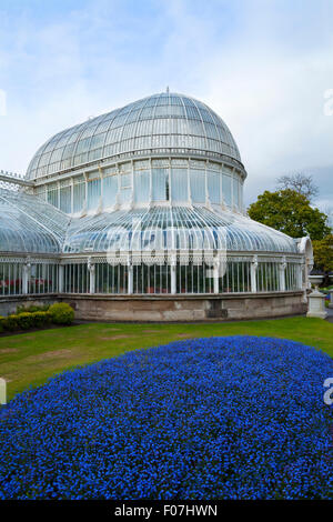 Palmenhaus von Charles Lanyon entworfen und gebaut von Richard Turner im Jahre 1840, botanischen Gärten, Belfast City, Nordirland Stockfoto