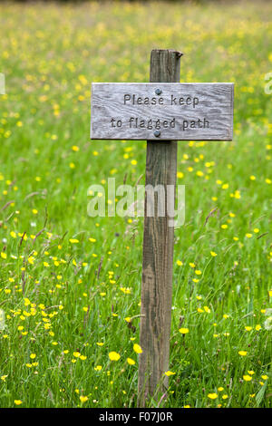 Halten Sie sich den Pfad anmelden Wildblumenwiese, Yorkshire Dales National Park, North Yorkshire, England, UK Stockfoto