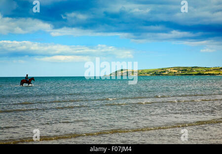 Ausritt am Cunnigar, Dungarvan, An Rinn über dem Wasser, Grafschaft Waterford, Irland Stockfoto