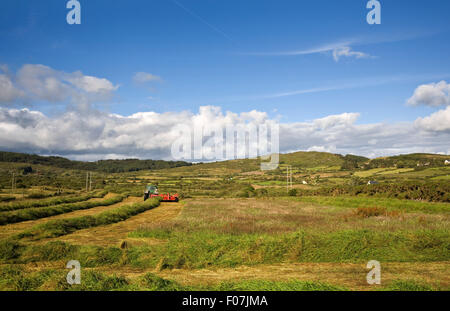 Silage machen, in der Nähe von Bantry, County Cork, Irland Stockfoto