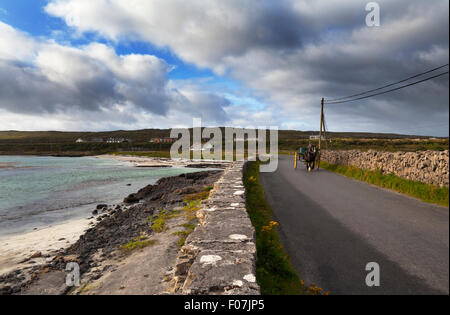 Pony und Falle auf der Straße vom Dorf Kilronan auf Inishmore, die Aran-Inseln, Teampall Bheanain, County Galway, Irland Stockfoto