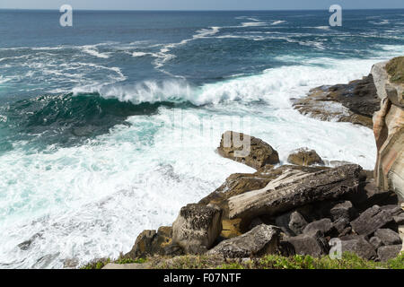 Wellen brechen entlang der malerischen Küste in der Nähe von Hornby Leuchtturm, Watsons Bay, New South Wales, Australien. Stockfoto