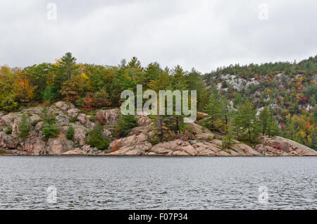 Waldsee im sonnigen Aurumn Tag in Kanada Stockfoto