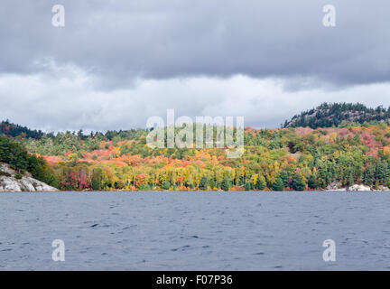 Waldsee im sonnigen Aurumn Tag in Kanada Stockfoto