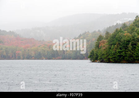 Waldsee im sonnigen Aurumn Tag in Kanada Stockfoto