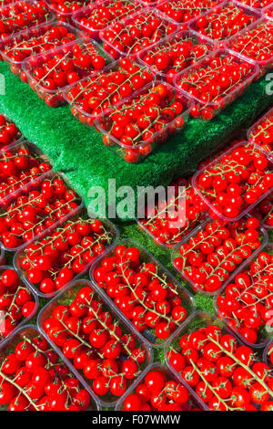 Kleine strauchtomaten auf dem Display auf einem Marktstand in Sommer England UK Stockfoto