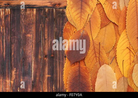 schöne orange Kirsche Blätter auf einem Holztisch Stockfoto