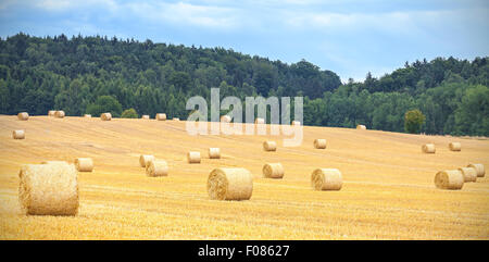 Geernteten Feld mit Heuballen im bewölkten Tag. Stockfoto