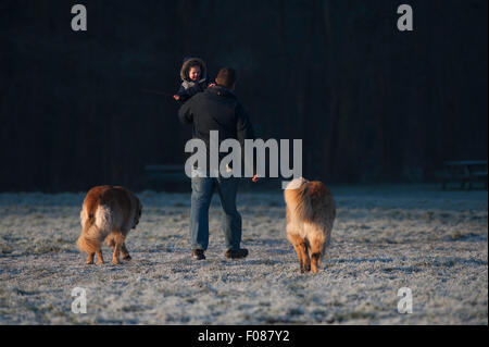 Vater mit seinem Kind beim gehen zwei Hunde an einem kalten, frostigen Winter Morgen in Langdon Hills Country Park, Basildon. Stockfoto