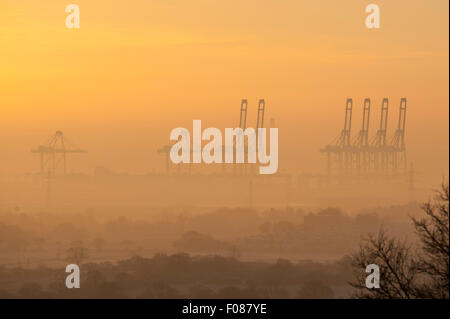 Massive Krane von DP World, London Gateway Containerhafen, erheben sich aus frühen Morgennebel Winter. Coryton, Essex, England. Stockfoto