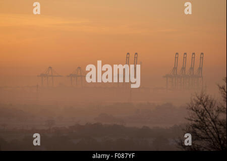Massive Krane von DP World, London Gateway Containerhafen, erheben sich aus frühen Morgennebel Winter. Coryton, Essex, England. Stockfoto