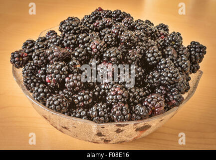 Eine Schüssel voll mit frisch gepflückten Brombeeren aus der Natur Stockfoto