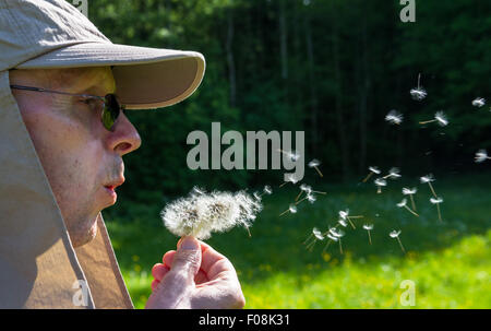 Mann bläst Luft Samen vom Löwenzahn Samen Kopf. Stockfoto