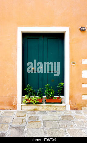 grüne Eingangstür der alten Gebäude Haus in Venedig, Italien Stockfoto