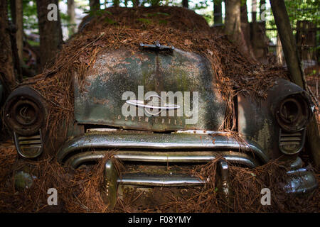 Abgenutzt, Anfang 50 Oldsmobile, verlassenen in Georgia, USA gefunden Stockfoto