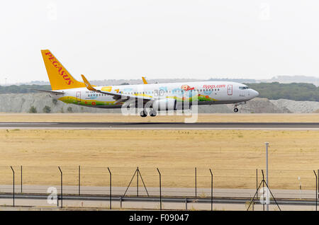 MADRID, Spanien - 8. August 2015: Flugzeug - Boeing 737 - 82R - der - Pegasus Airlines - Airline, landet am Flughafen Madrid-Barajas - Adolfo Suarez - am 8. August 2015. © Russet Apfel/Alamy Live News Stockfoto