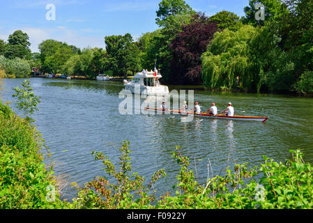 Jeanneau Bootsfahrt Prestige 32 Boot und Ruderboot auf Themse, Runnymede, Surrey, England, Vereinigtes Königreich Stockfoto