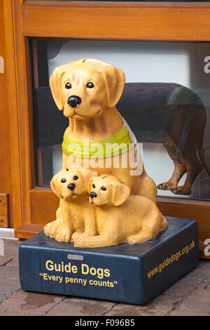 Blindenhunde jeder Penny zählt Sammelbox außerhalb des Einkaufsbudens im Trentham Shopping Village, Stoke-on-Trent, Staffordshire UK im Januar Stockfoto