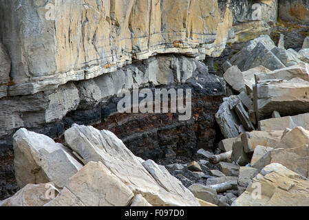 Rock-Schichtung entlang der Küste von Boltodden, Kvalvagen, Svalbard / Spitzbergen, Norwegen Stockfoto