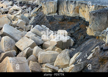 Rock-Schichtung entlang der Küste von Boltodden, Kvalvagen, Svalbard / Spitzbergen, Norwegen Stockfoto