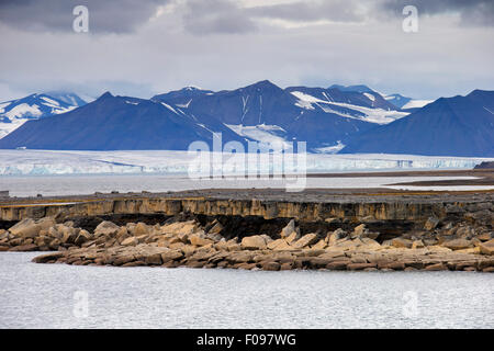 Rock-Schichtung entlang der Küste von Boltodden, Kvalvagen, Svalbard / Spitzbergen, Norwegen Stockfoto