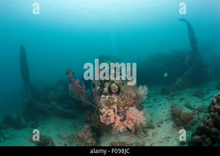 Lockheed P-388 Blitz Fighter Aircraft Wrack, Marovo Lagune, Salomonen Stockfoto