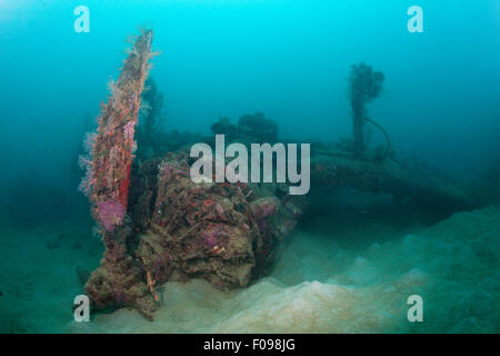 Sternmotor der furchtlose Dive Bomber Wrack, Marovo Lagune, Salomonen Stockfoto