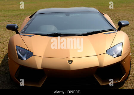 Bombay, Indien - 26. Januar 2013: Golden Lamborghini Aventador bei Bombay-Super Auto-Show Stockfoto