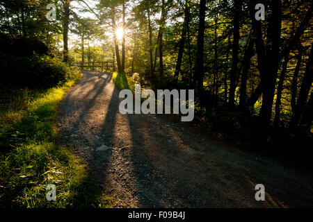 Sonnenaufgang am Wagen Trail - Mohonk Mountain House, New Paltz, Hudson Valley, New York, USA Stockfoto