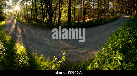 Sonnenaufgang am Wagen Trail Panoramabild - Mohonk Mountain House, New Paltz, Hudson Valley, New York, USA Stockfoto