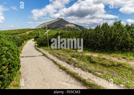 Auf dem Trail in der Nähe von Pec Pod Snezkou im Riesengebirge, Tschechische Republik Stockfoto