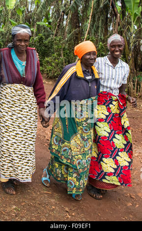 Völkermord Witwen kollektive, Lake Kivu Kaffeeregion, Ruanda Stockfoto