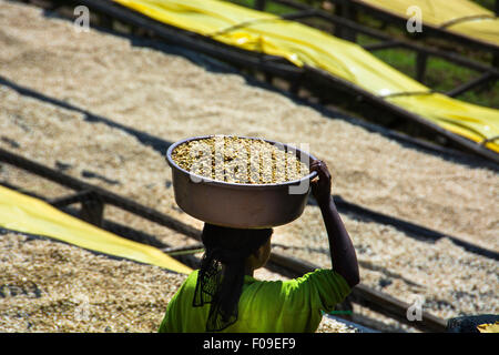 Völkermord Witwen kollektive, Lake Kivu Kaffeeregion, Ruanda Stockfoto