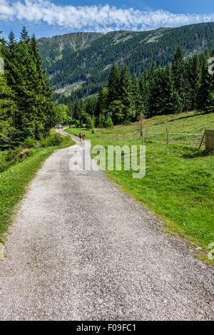 Auf dem Trail in der Nähe von Pec Pod Snezkou im Riesengebirge, Tschechische Republik Stockfoto