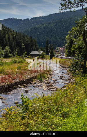 Der Fluss Bear Creek in den nationalen park Riesengebirge in Tschechien Stockfoto