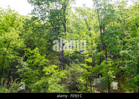 Zipline Abenteuer in Branson Zipline Canopy Tours in Branson, Missouri. Stockfoto