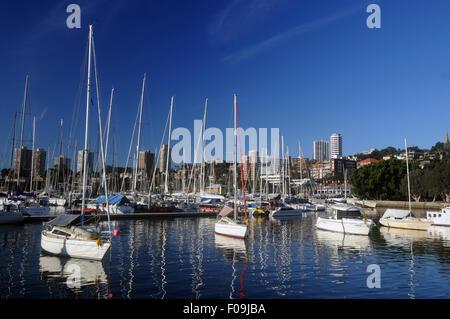 Yachten in der Marina, Rushcutters Bay, Sydney NSW Australia. Keine PR Stockfoto